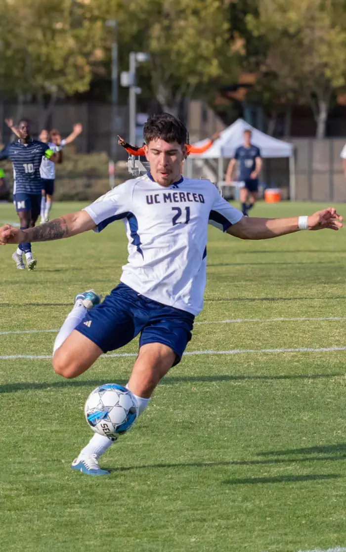 Soccer player getting ready to kick the ball