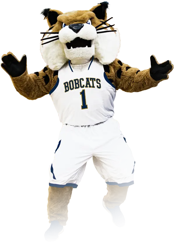 mascot