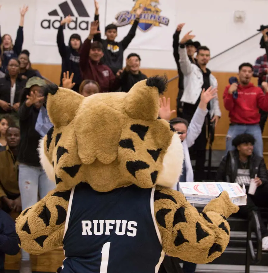 Mascot hyping fans up